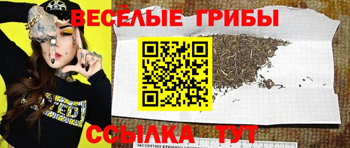 Псилоцибиновые грибы Psilocybine cubensis  Вход с VPN  Галлюциногенные грибы мухоморы  Пугачёв 